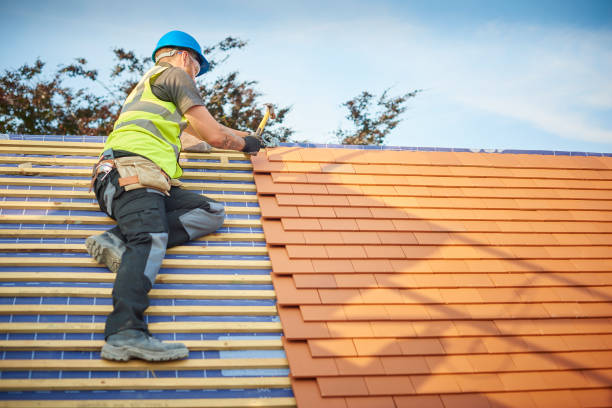 Best Gutter Replacement  in Poth, TX